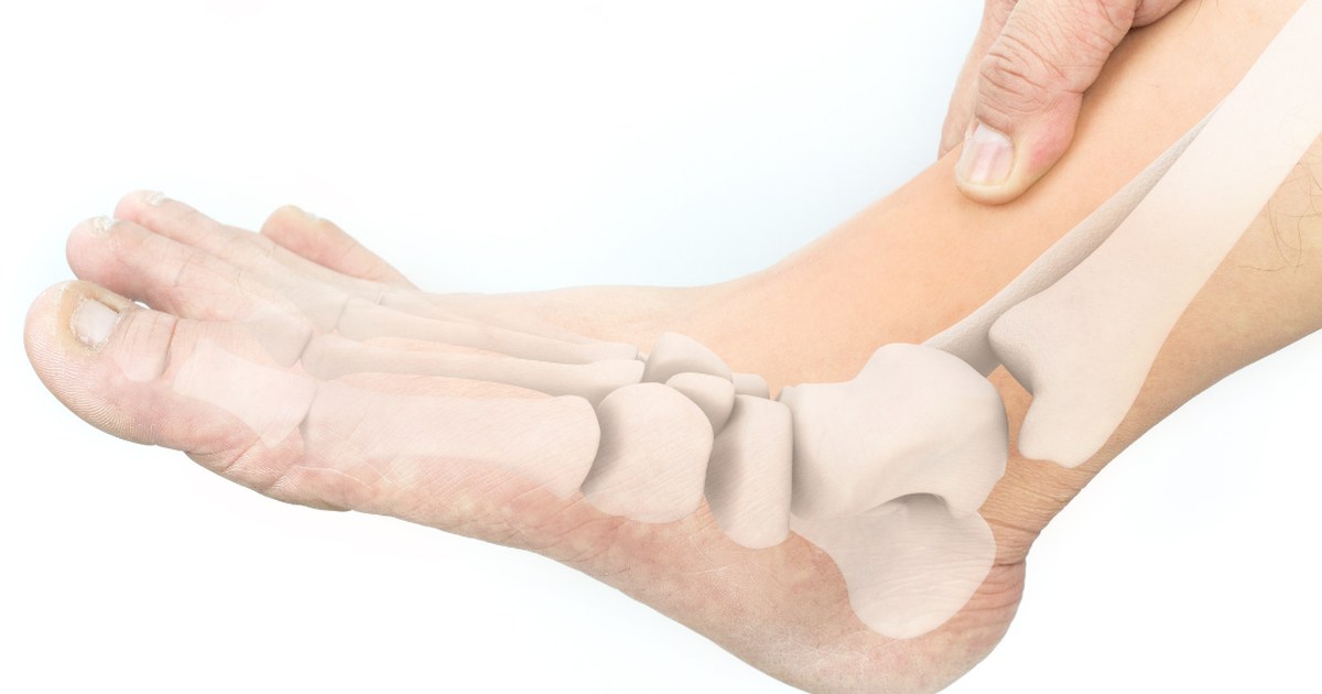 Esquema anatómico del pie y el tobillo, primer eslabón de la cadena postural